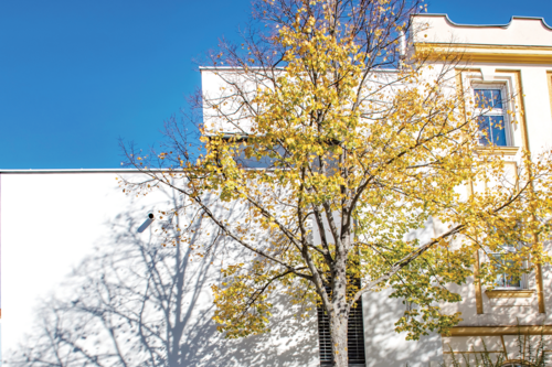 Einfamilienhaus in Niederösterreich